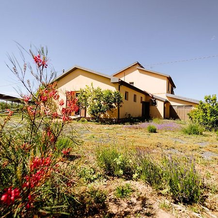 Agriturismo Bio Podere 109 - Wine&Food Альберезе Екстер'єр фото