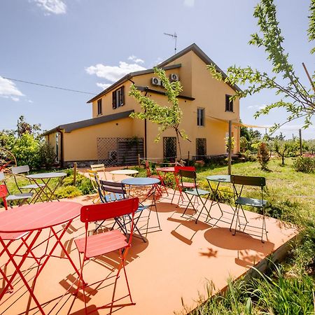 Agriturismo Bio Podere 109 - Wine&Food Альберезе Екстер'єр фото