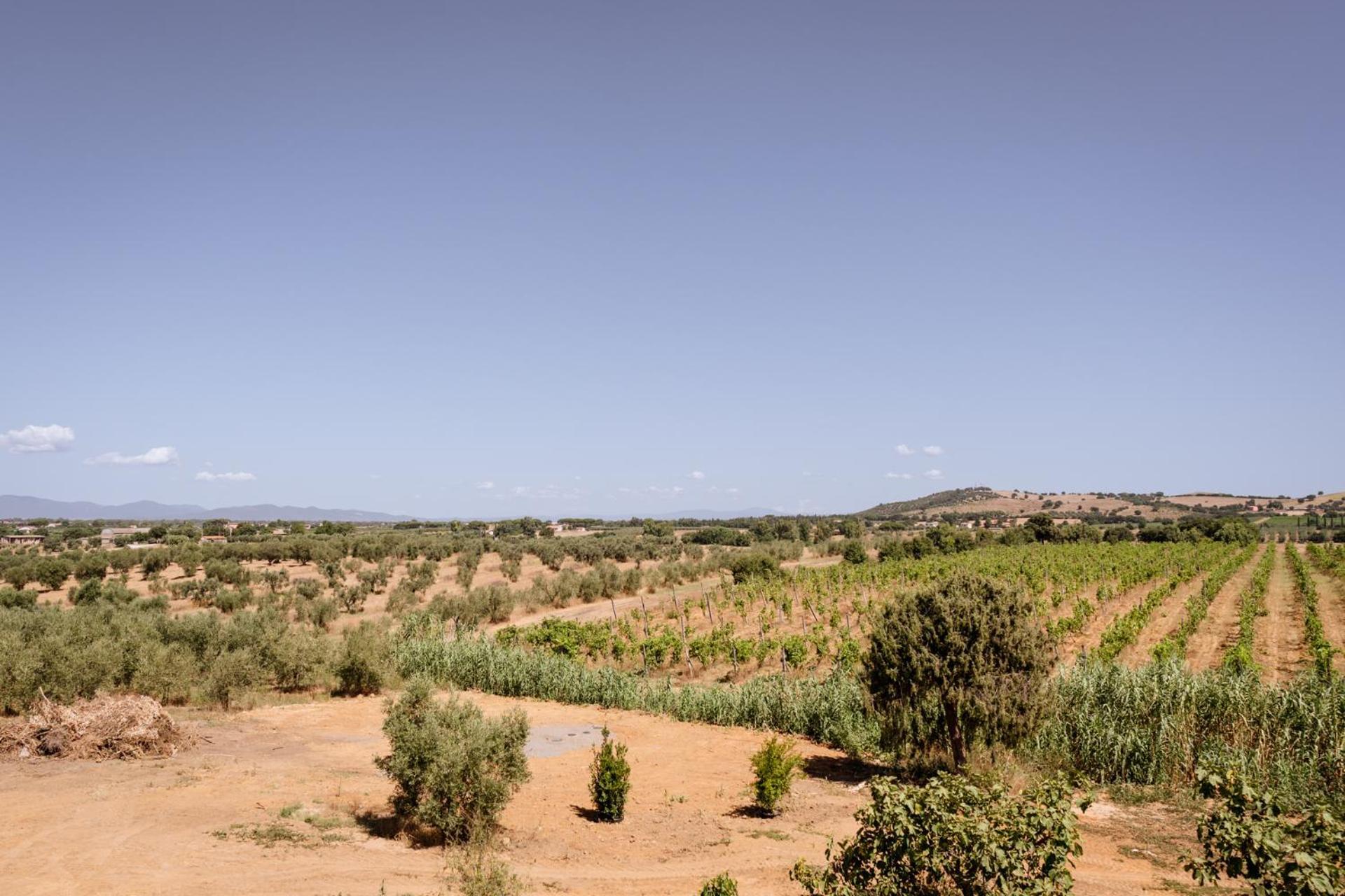 Agriturismo Bio Podere 109 - Wine&Food Альберезе Екстер'єр фото