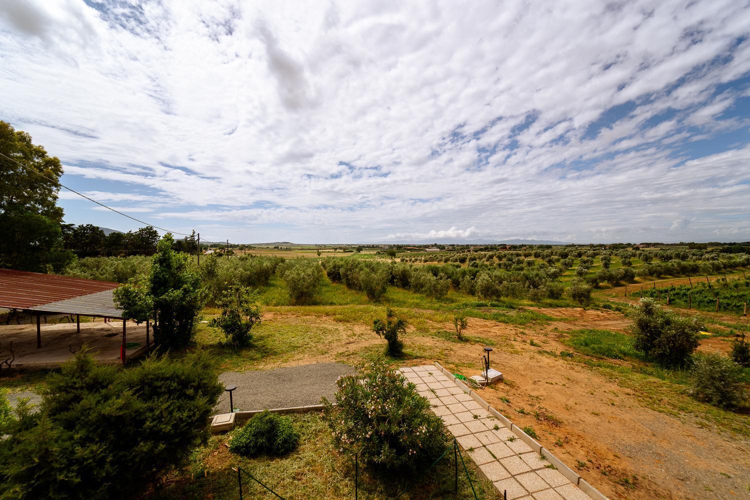 Agriturismo Bio Podere 109 - Wine&Food Альберезе Екстер'єр фото