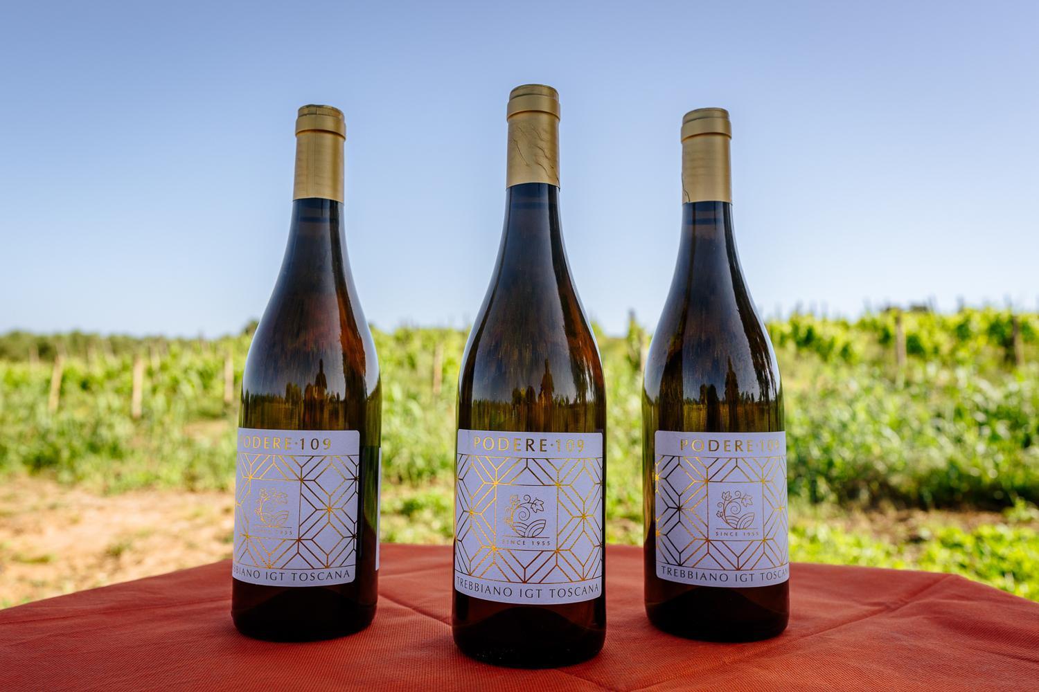 Agriturismo Bio Podere 109 - Wine&Food Альберезе Екстер'єр фото