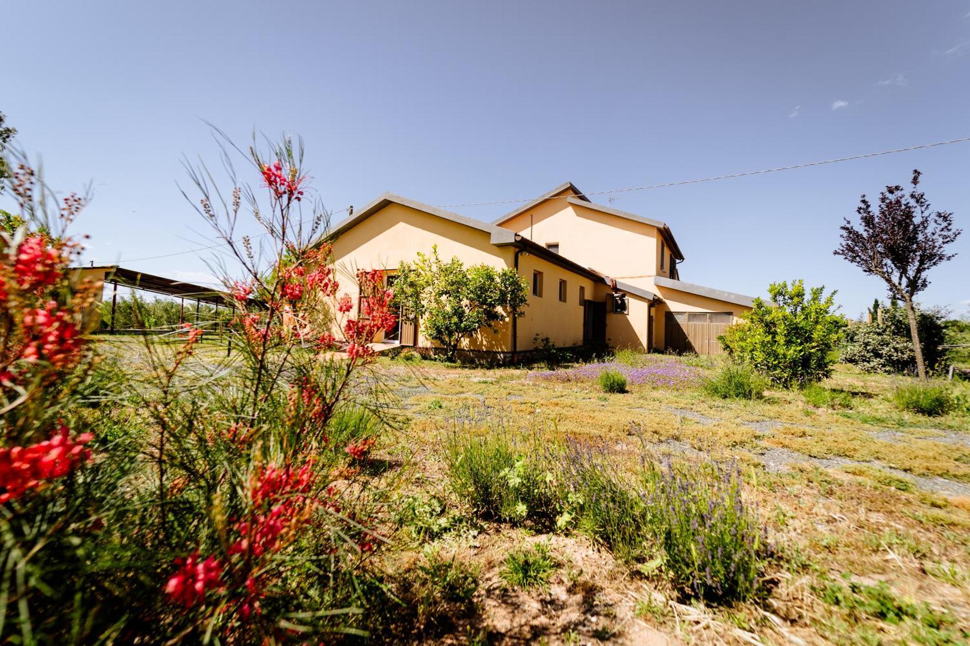 Agriturismo Bio Podere 109 - Wine&Food Альберезе Екстер'єр фото